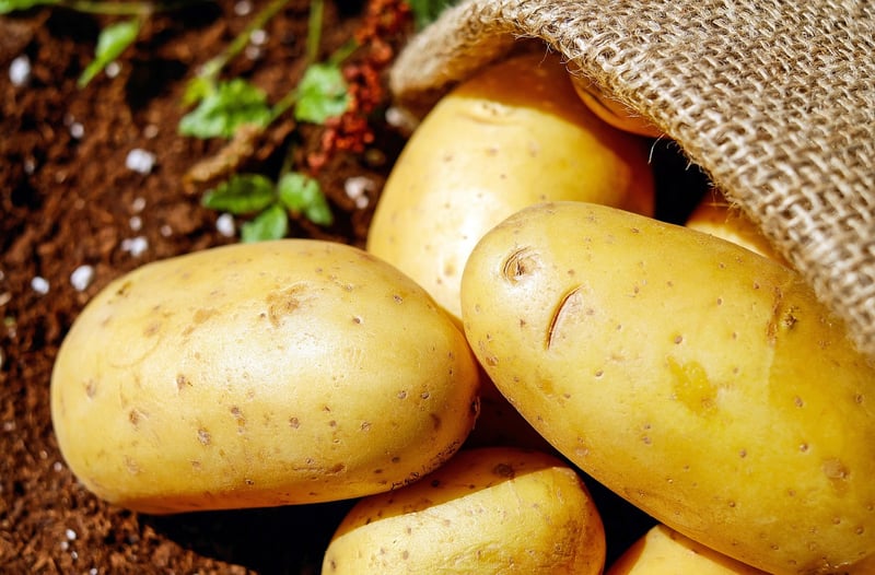 Farm Fresh Vegetables